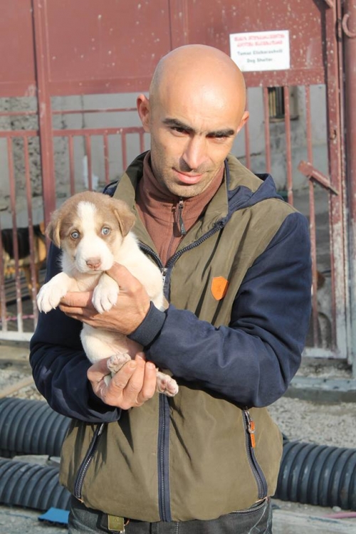 მეტისი უსახელო