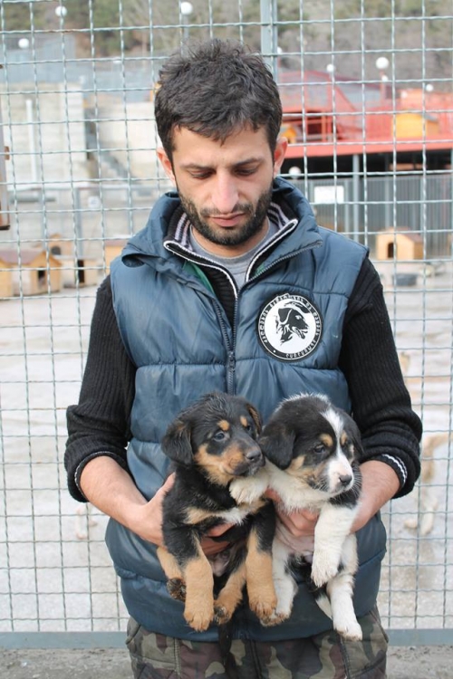 მეტისი უსახელო