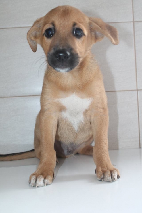 მეტისი უსახელო