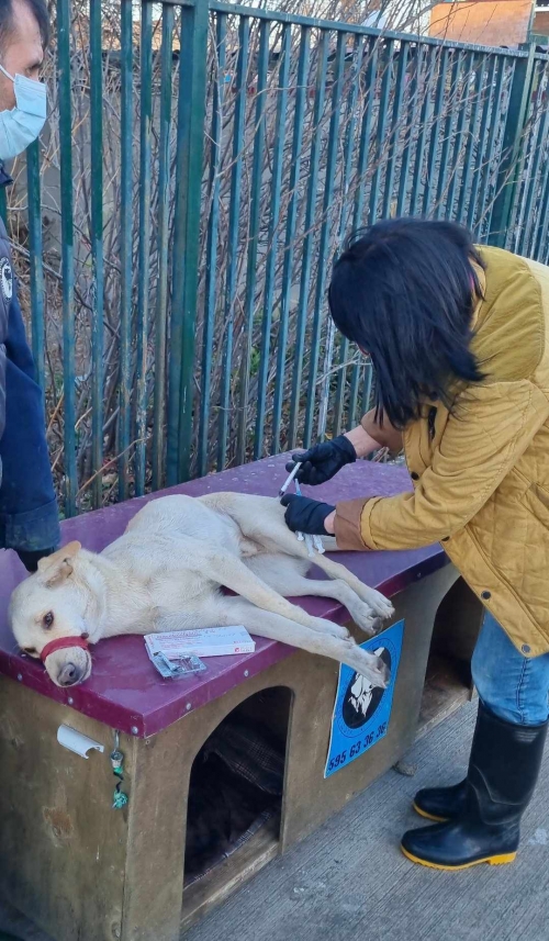 მეტისი ვარკეთილის შ.ს.ს