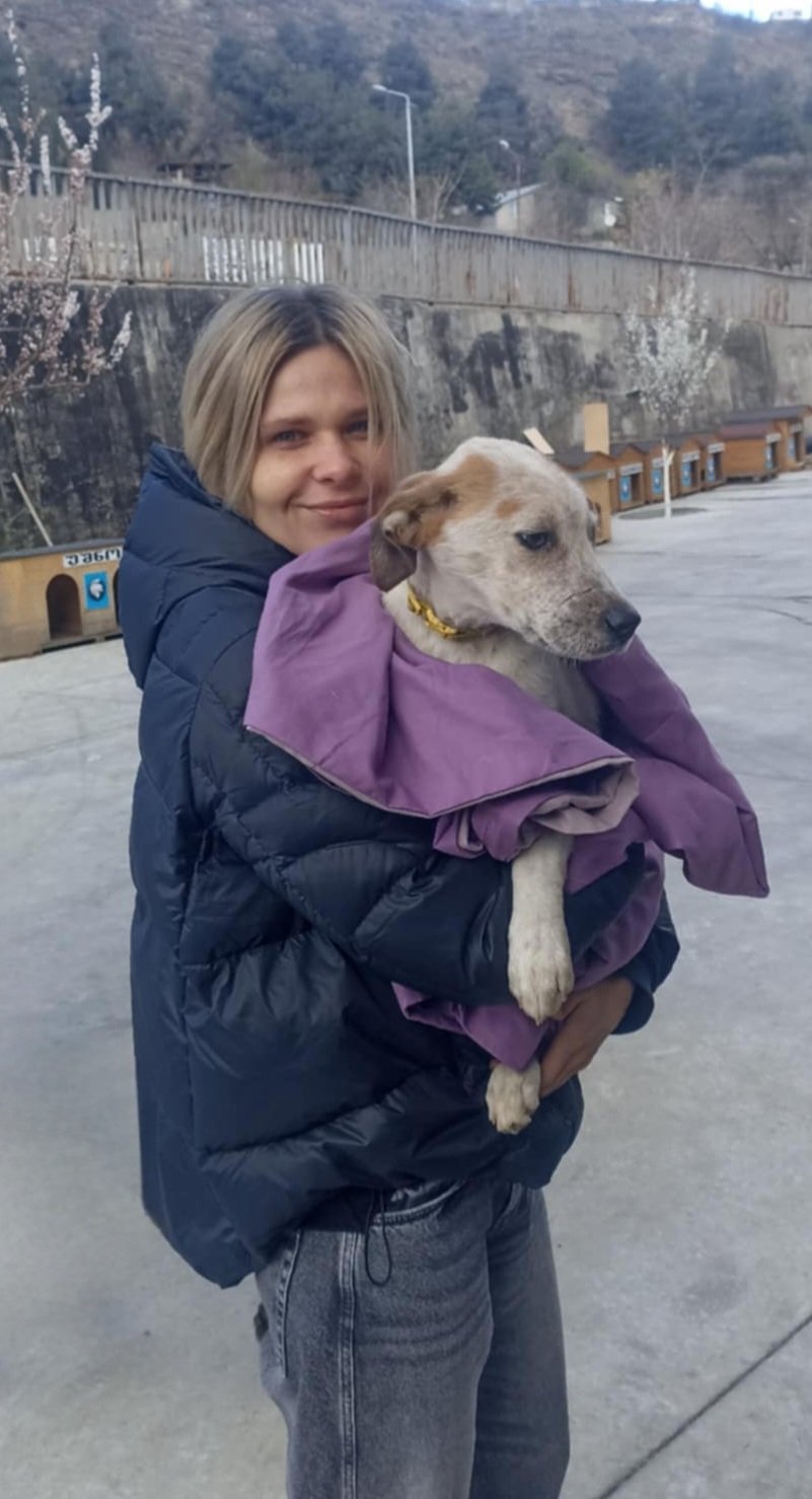 მეტისი. ვაკე