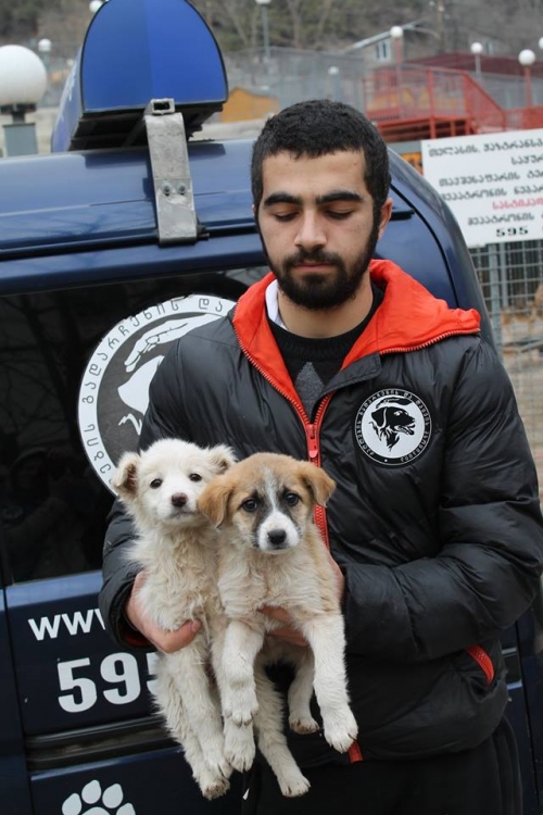 მეტისი უსახელო