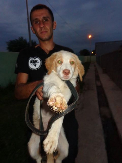 მეტისი უსახელო