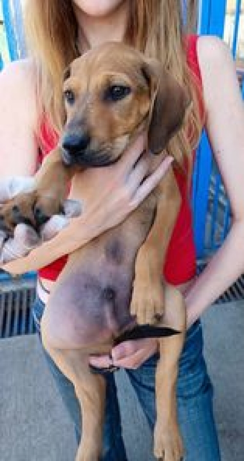 მეტისი უსახელო