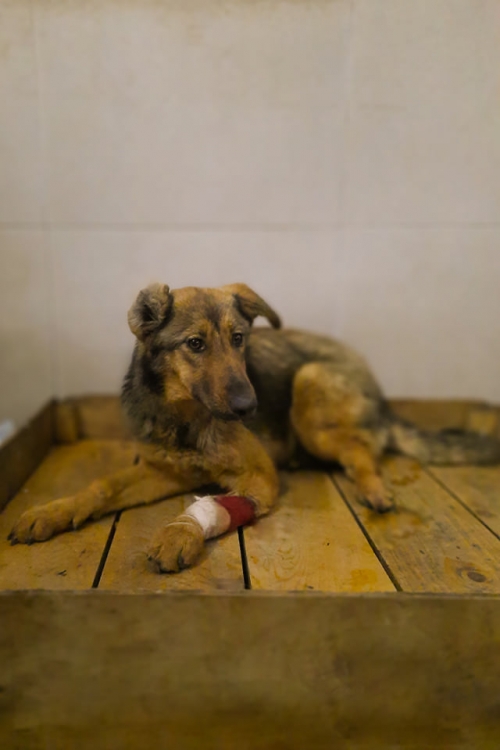 მეტისი მახათის აღმართი