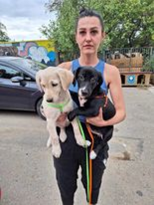 მეტისი კუკიის სასაფლავოს