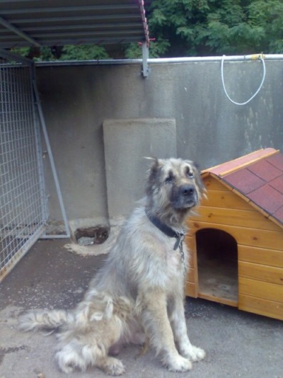 * გარდაცვლილები