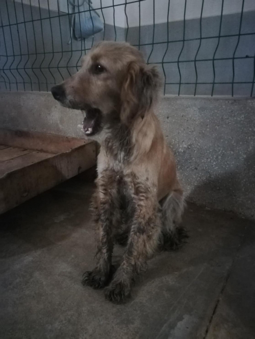 მეტისი ნაპოვნია ქ. ქუთაისი