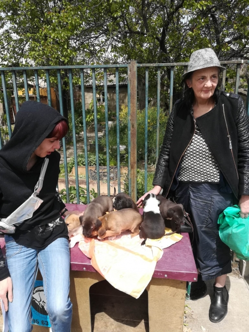 მეტისი უსახელო