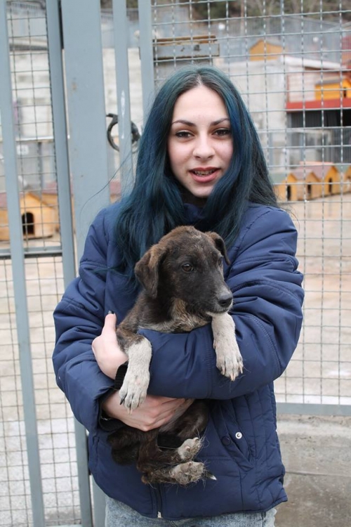 მეტისი უსახელო