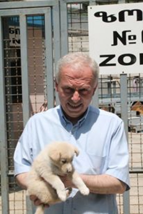 მეტისი უსახელო