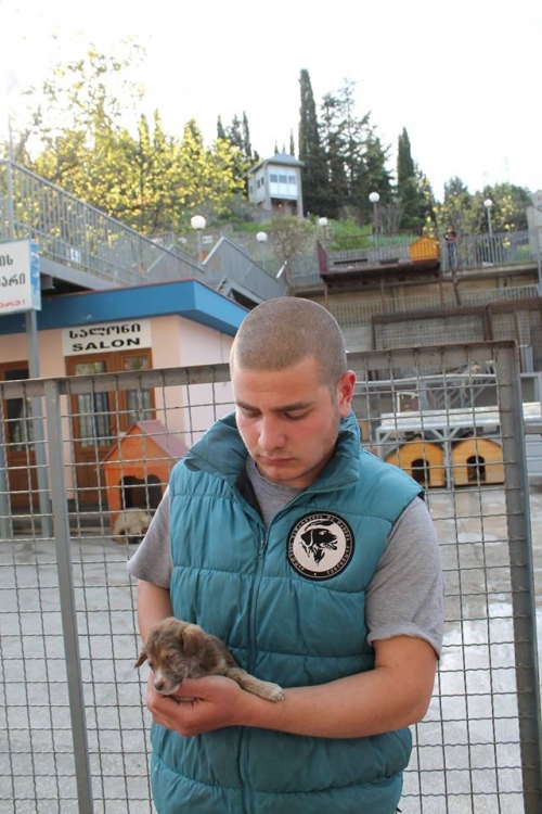 მეტისი უსახელო