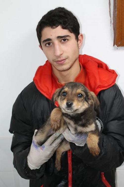 მეტისი უსახელო