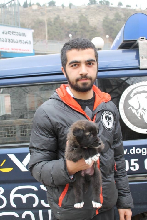 მეტისი უსახელო