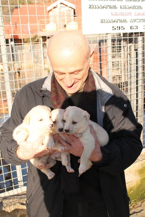 მეტისი უსახელო