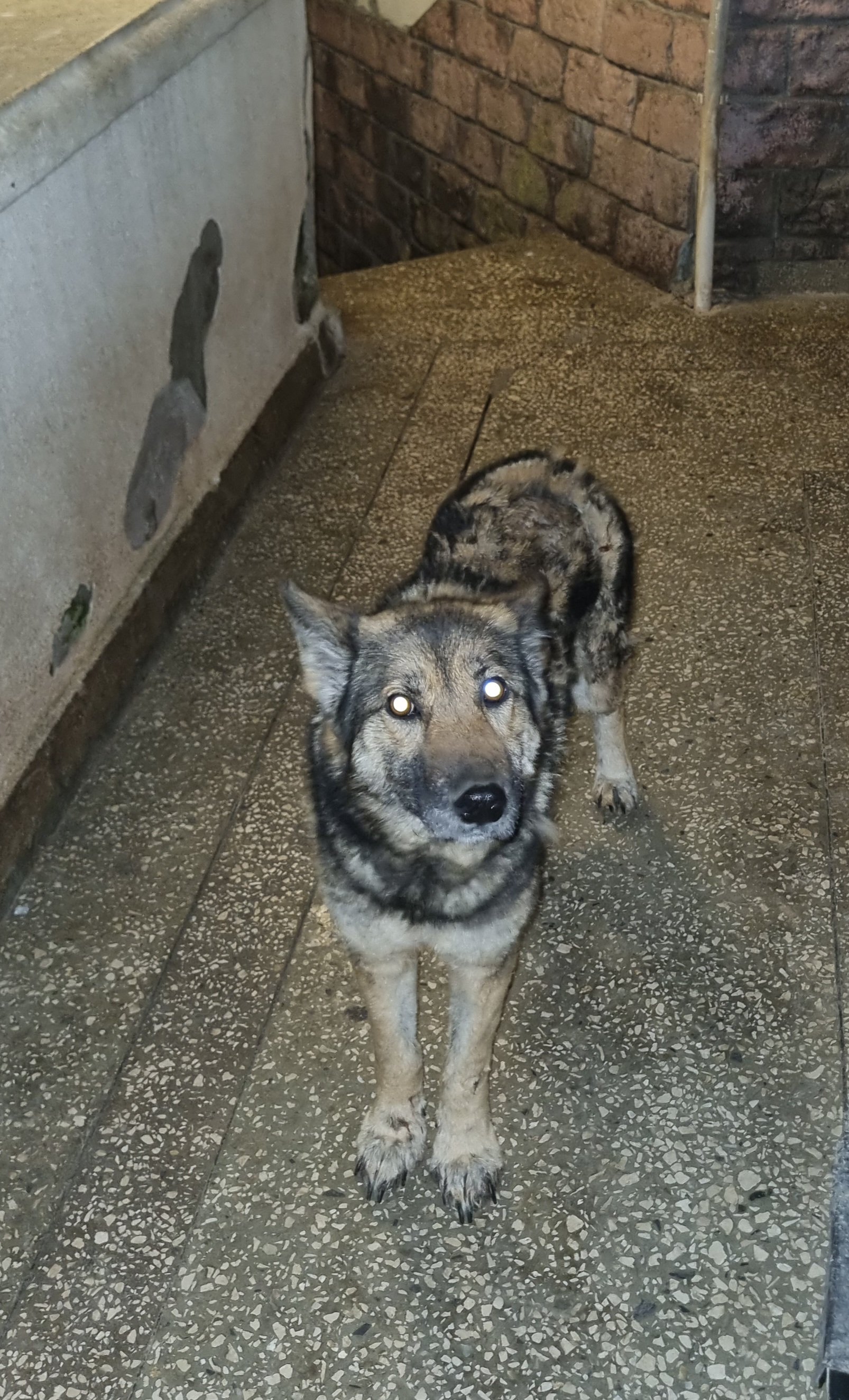 ქობულეთი