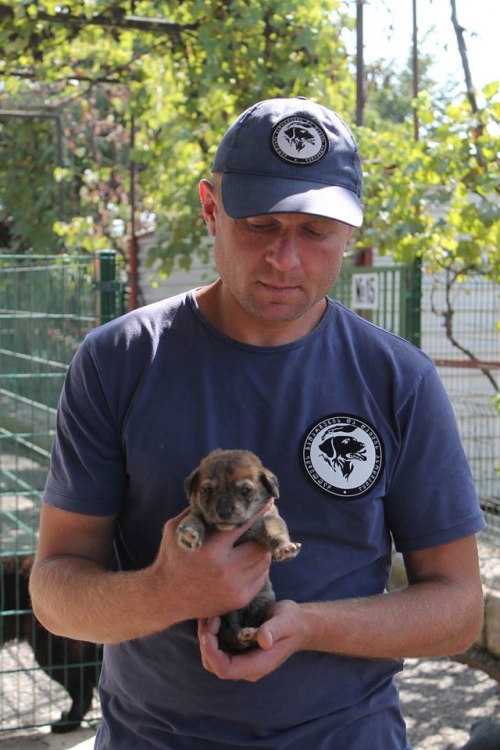 მეტისი უსახელო