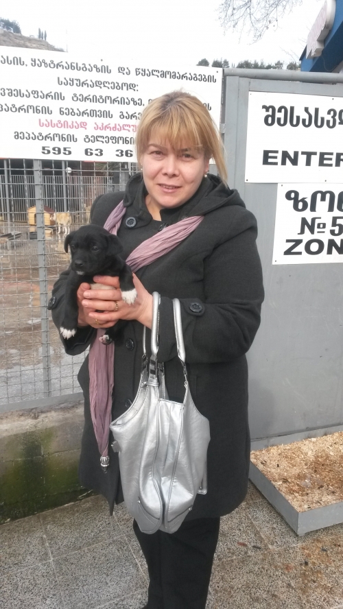 მეტისი უსახელო