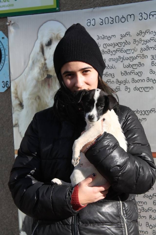 მეტისი უსახელო