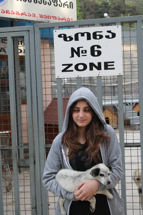 მეტისი უსახელო