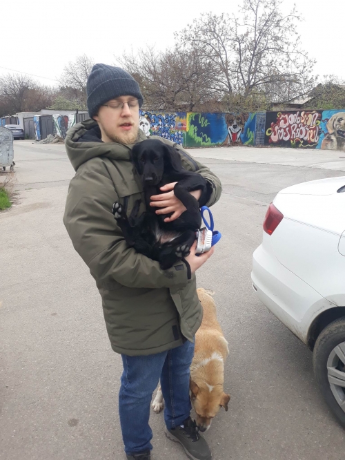 მეტისი წალკა