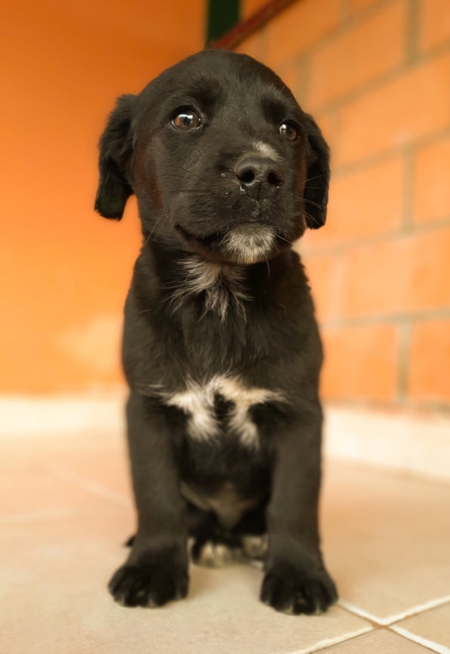 მეტისი ვარკეთილის 3 მასივში