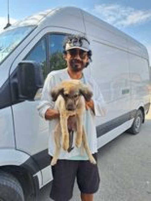 მეტისი ქობულეთი