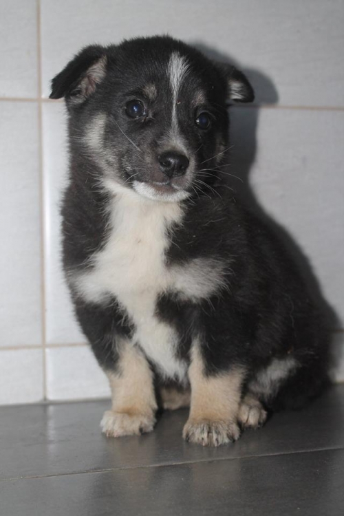 მეტისი უსახელო