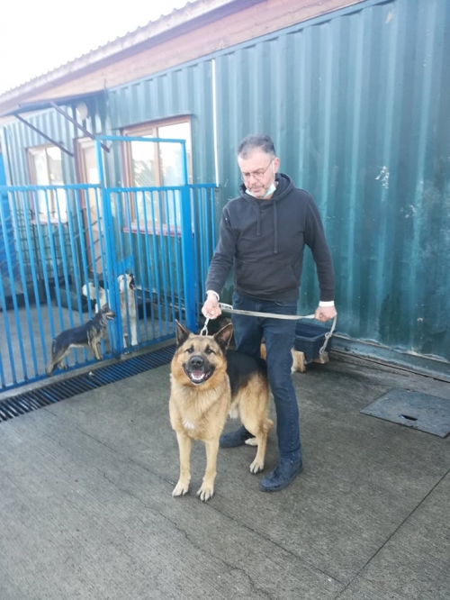 გერმანული ნაგაზი ვაკის პარკი