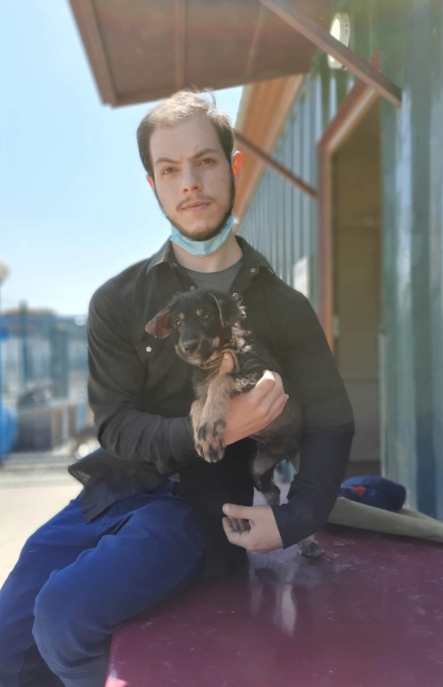 მეტისი თემქაზე ნაპოვნი