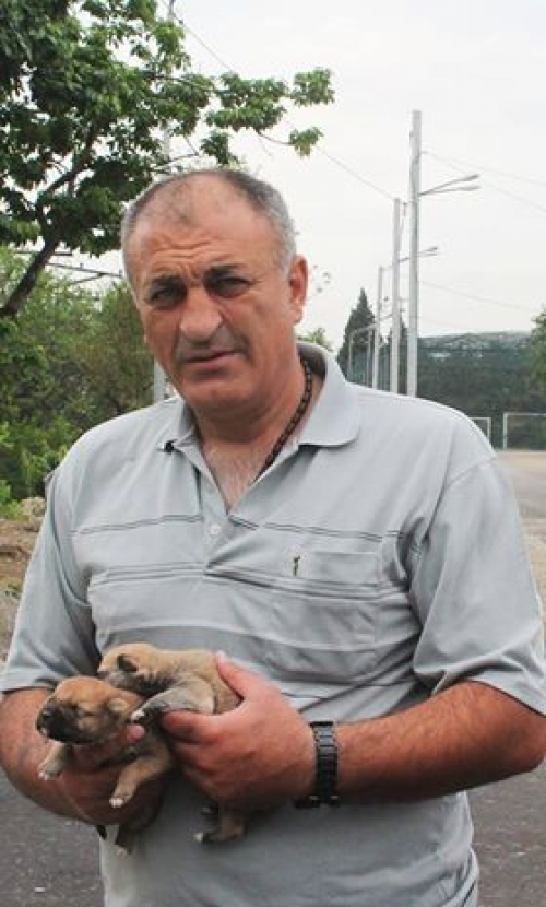 მეტისი უსახელო