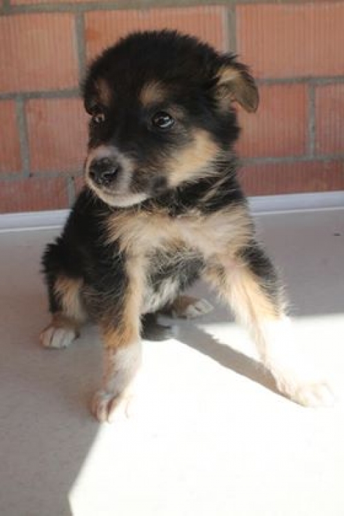 მეტისი უსახელო